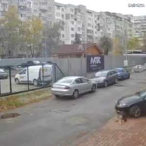 Умишшлено ли македонски лекар прегази куче в кв. 